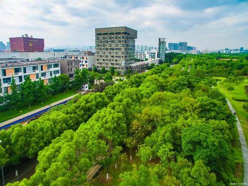 广东阳江引进一所外语学校，总投资6亿元，占地面积59883平方米